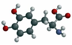 Levodopa structural image.